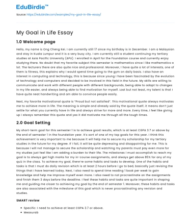 My Goal in Life Essay