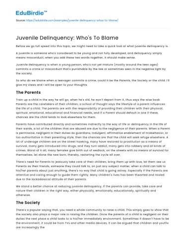 Juvenile Delinquency: Who’s To Blame