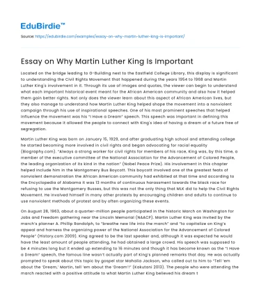 Essay on Why Martin Luther King Is Important