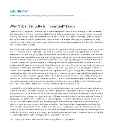 Why Cyber Security Is Important? Essay