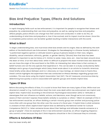 Bias And Prejudice: Types, Effects And Solutions