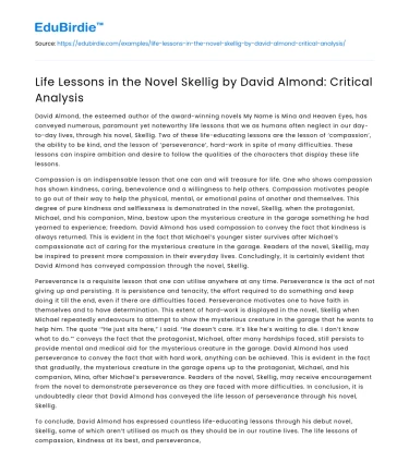 Life Lessons in the Novel Skellig by David Almond: Critical Analysis