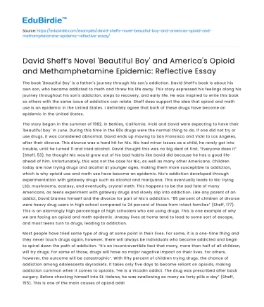 Beautiful Boy’ and America’s Drug Epidemic