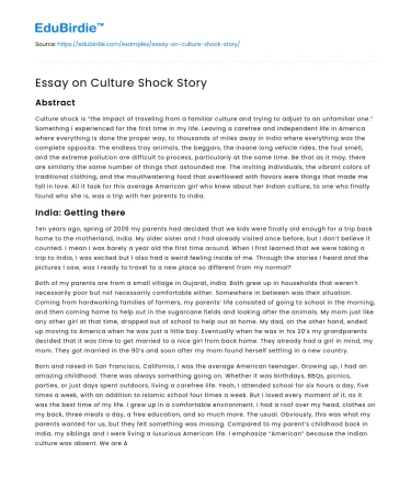 Essay on Culture Shock Story