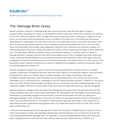 The Teenage Brain Essay
