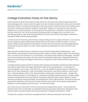 College Evaluation Essay on the Library