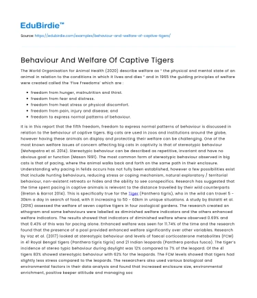 Behaviour And Welfare Of Captive Tigers