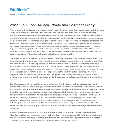 Water Pollution: Causes Effects and Solutions Essay
