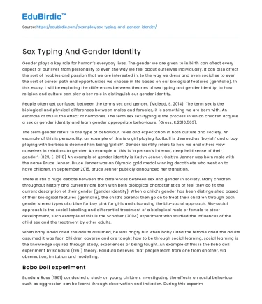 Sex Typing And Gender Identity