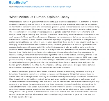 What Makes Us Human: Opinion Essay