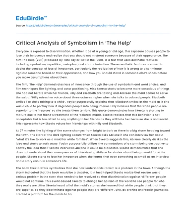 Critical Analysis of Symbolism in ‘The Help’