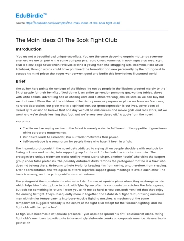 The Main Ideas Of The Book Fight Club