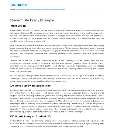 Student Life Essay Example