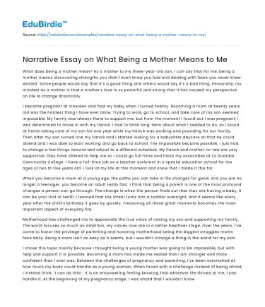 Narrative Essay on What Being a Mother Means to Me