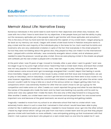 Life through Memoir Narratives