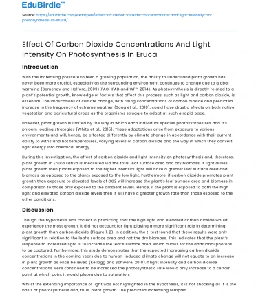 CO2 and Light Intensity on Photosynthesis in Eruca