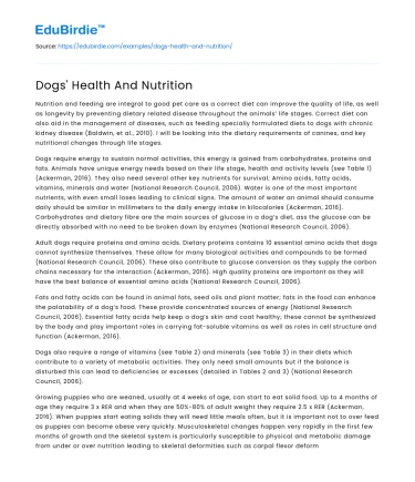 Dogs’ Health And Nutrition