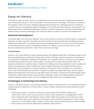 Essay on Literacy