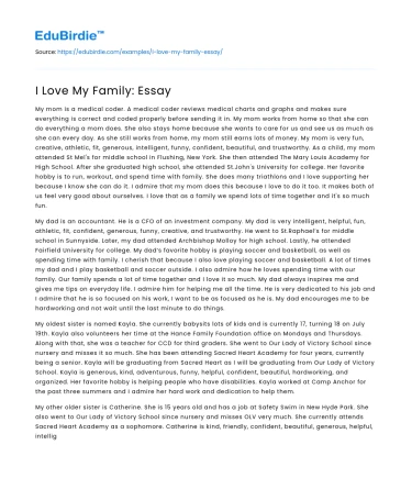 I Love My Family: Essay