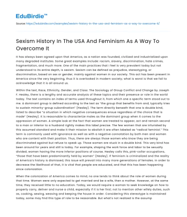 Sexism History In The USA And Feminism As A Way To Overcome It