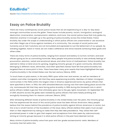 Essay on Police Brutality