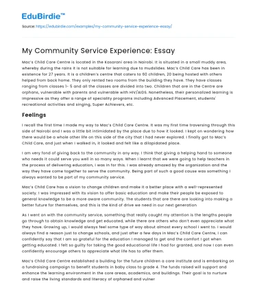 My Community Service Experience: Essay