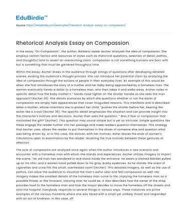 Rhetorical Analysis Essay on Compassion