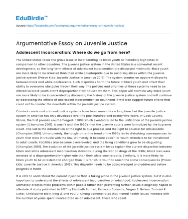 Argumentative Essay on Juvenile Justice