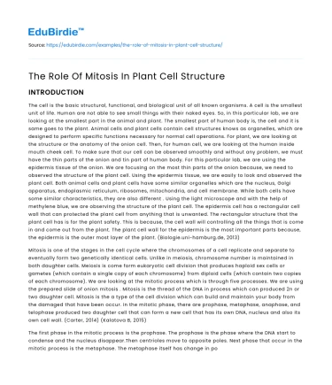 The Crucial Role of Mitosis in Plant Cell Development