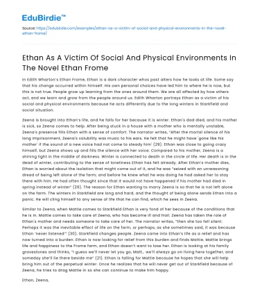 Ethan’s Struggles in Social and Physical Environments