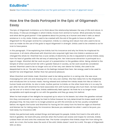 Divine Dynamics in the Epic of Gilgamesh