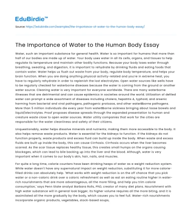 The Importance of Water to the Human Body Essay