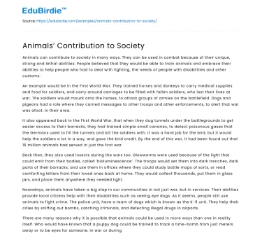 Animals’ Contribution to Society