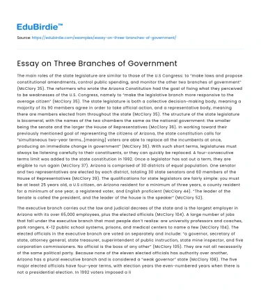 Essay on Three Branches of Government