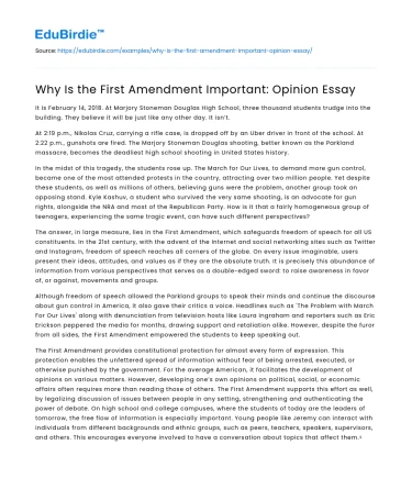 Why Is the First Amendment Important: Opinion Essay