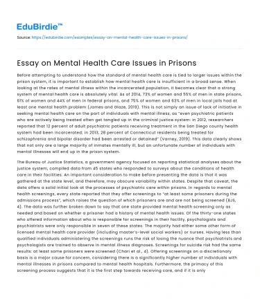 Essay on Mental Health Care Issues in Prisons