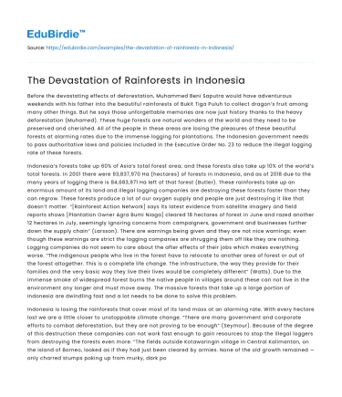 The Devastation of Rainforests in Indonesia