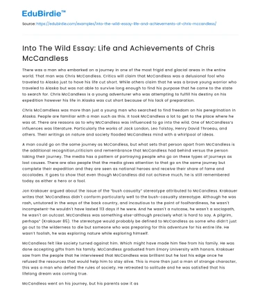 Into The Wild Essay: Life and Achievements of Chris McCandless