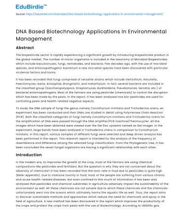 DNA-Based Innovations in Environmental Biotechnology