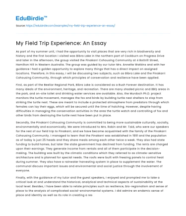 My Field Trip Experience: An Essay