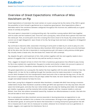 The Impact of Miss Havisham on Pip’s Development