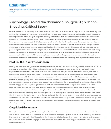 Psychology of Stoneman Douglas Shooting