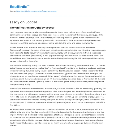 Essay on Soccer
