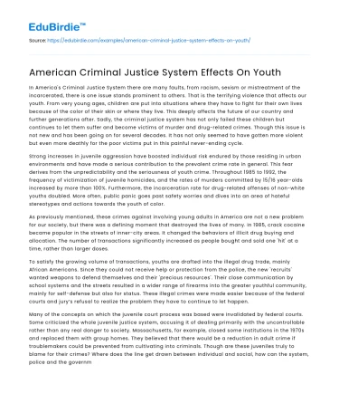 American Criminal Justice System Effects On Youth