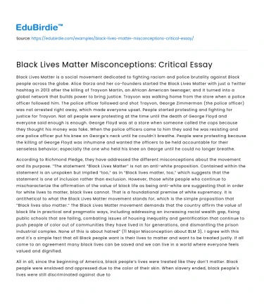 Black Lives Matter Misconceptions: Critical Essay