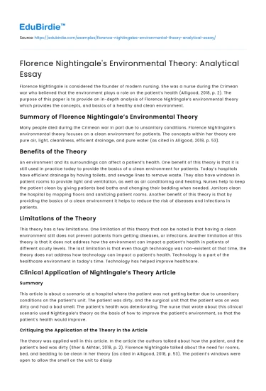 Florence Nightingale’s Environmental Theory: Analytical Essay