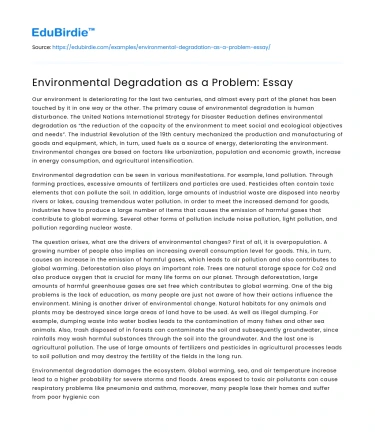 Environmental Degradation as a Problem: Essay