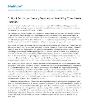 Critical Essay on Literary Devices in ‘Sweat’ by Zora Neale Hurston