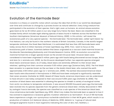 Evolution of the Kermode Bear