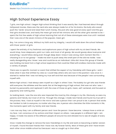 High School Experience Essay